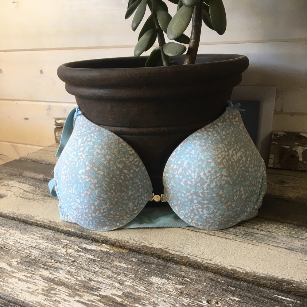La Vie En Rose | Blue Padded Animal Print Bra